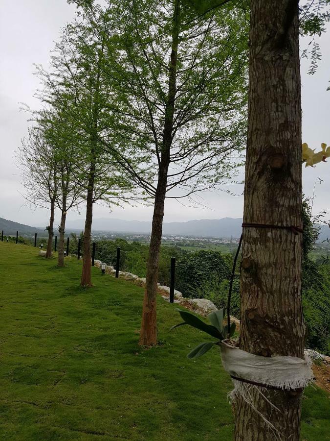 Sunrise Forest Fenglin Εξωτερικό φωτογραφία